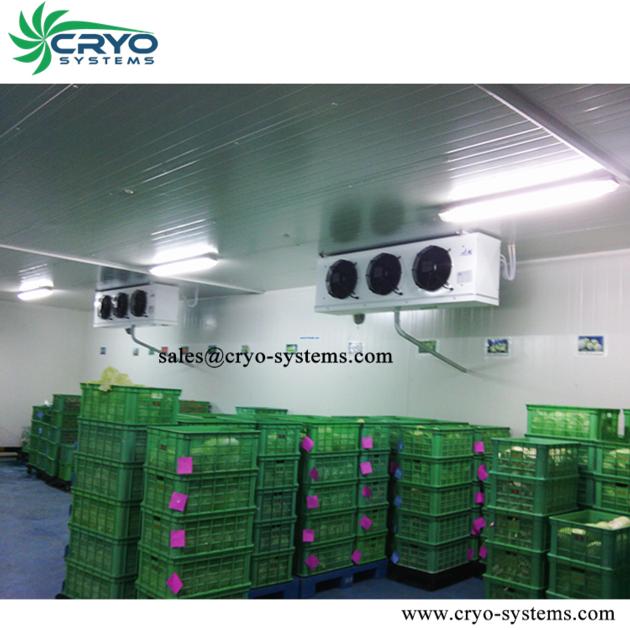 Cold Room Processing Room Freezer Room