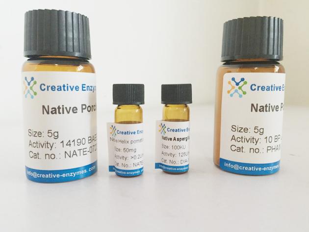 Cu/Zn Superoxide Dismutase, Recombinant