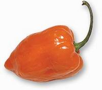 fresh pepper