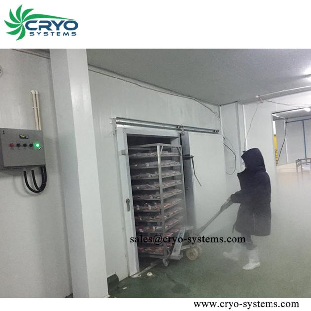 Cold Room Storage Project Design For