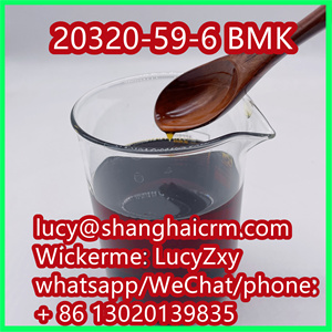 CAS: 20320-59-6/5413-05-8 Pharmaceutical Chemical New Pmk/BMK China CAS 20320-59-6 Pmk Oil BMK Whole