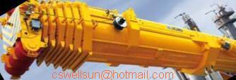 Zoomlion crane cluth