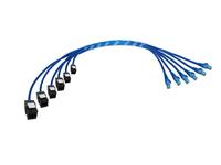 Pre-Terminated Cable Assembly (CTC)