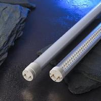 LED fluorescent lamp
