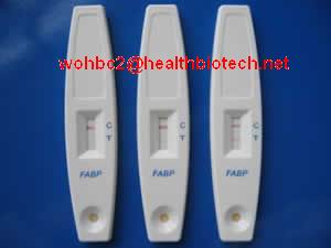rapid FABP diagnostic test card(AMI)