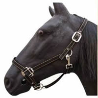 halter,horse halter,bridle,headstall,tack,horse harness,saddlery,horse gear,KUD30986