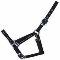 halter,horse halter,bridle,headstall,tack,horse harness,saddlery,horse gear,KUD30D41