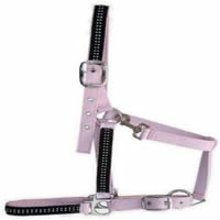 halter,horse halter,bridle,headstall,tack,horse harness,saddlery,horse gear,KUD30D47
