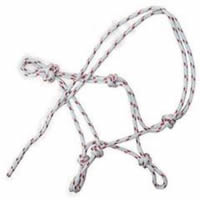 halter,horse halter,bridle,headstall,tack,horse harness,saddlery,horse gear,KUD502