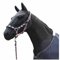halter,horse halter,bridle,headstall,tack,horse harness,saddlery,horse gear,KUD801