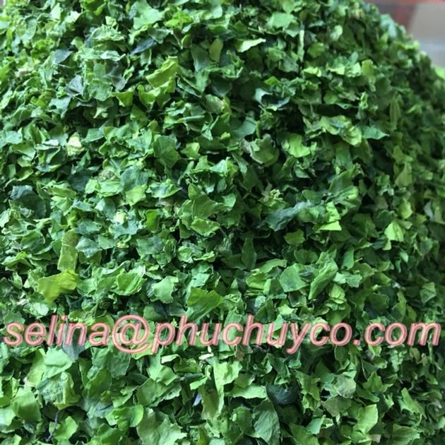 Ulva lactuca flakes/ sea lettuce for animals feed