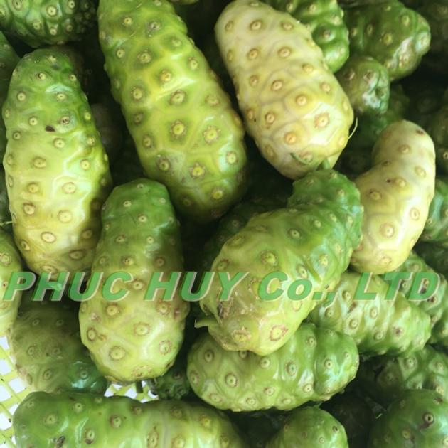 Dehydrate Noni Fruit With High Quality