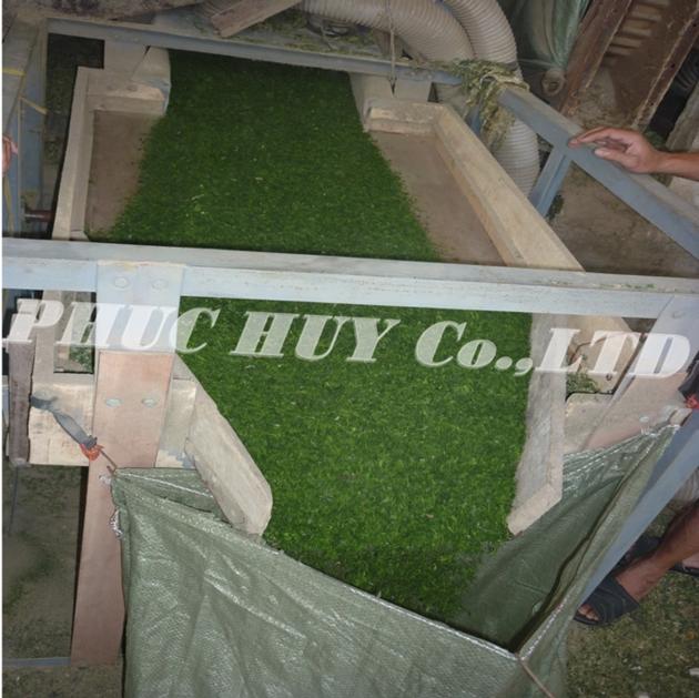 Powder Ulva Lactuca Seaweed Seaweed Fertilizer