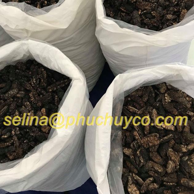 Dehydrate noni fruit with high quality for exporting