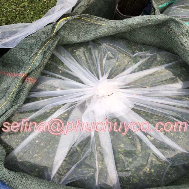 Ulva Lactuca Flakes Sea Lettuce For