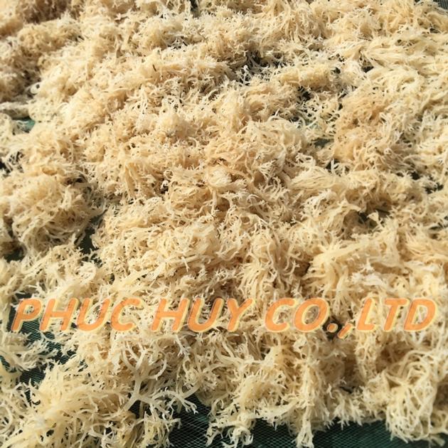 Dried Sea Moss Eucheuma Cottonii