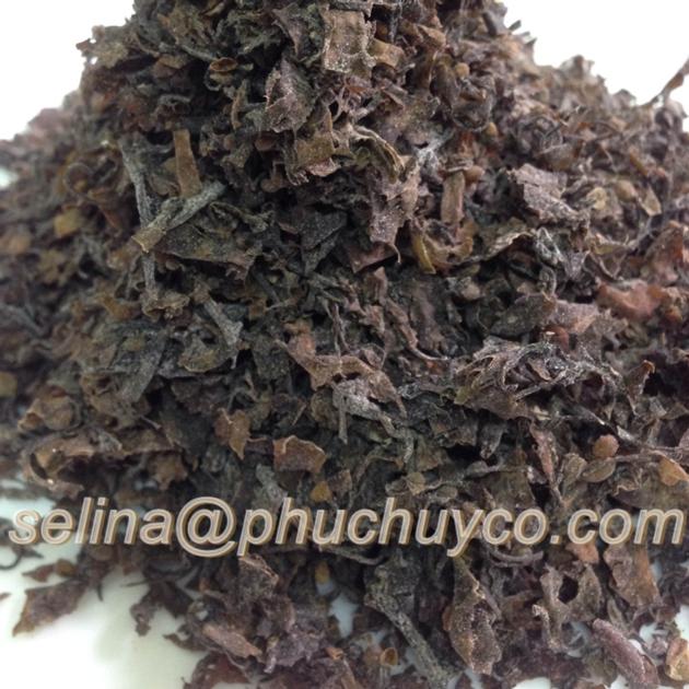 Sargassum Seaweed Powder Seaweed For Fertilizer