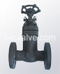 Forged steel bellow sealed valves