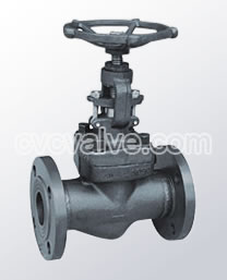 Forged steel globe valves