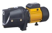 JSW/10 Garden pump
