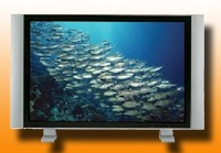 PLASMA TV
