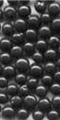 steel shot, steel grit
