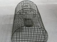 Effective Design Little Rats Trap Cages, Rats Cages