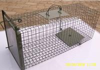 Live Dog Cage Dog Trap Cages