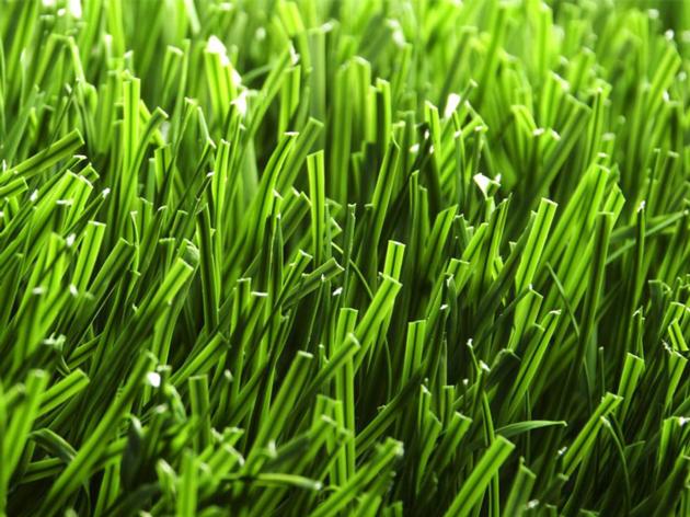 Sport Artificial Grass