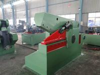 Hydraulic Crocodile-type Metal Cutting Machine Q43-315T