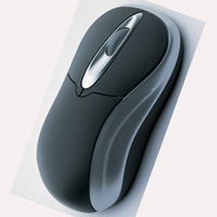 mouse