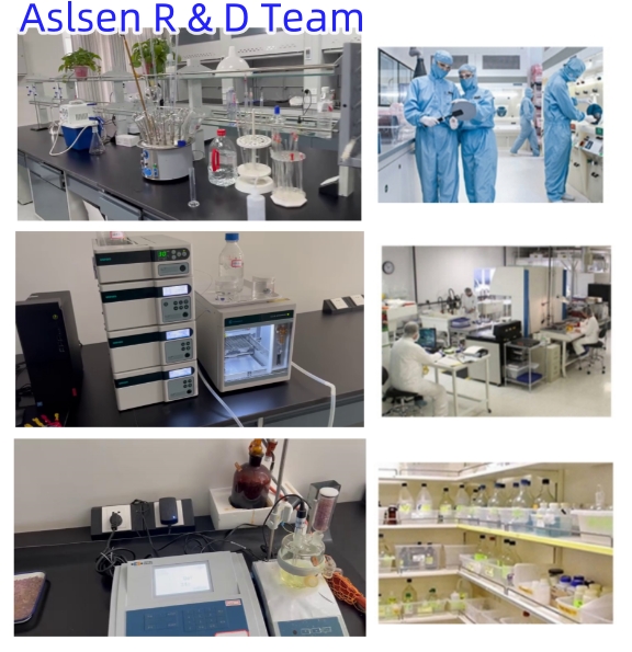 CAS 2004 07 1
