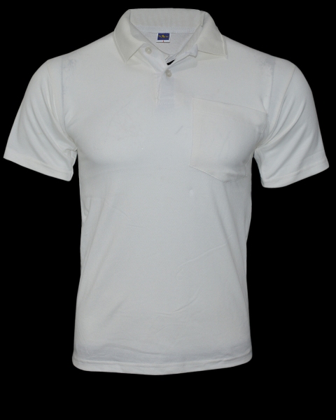 Mens Plain Polo