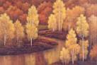 Landscape oil paintings