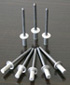 Sealed (closed) type blind rivet