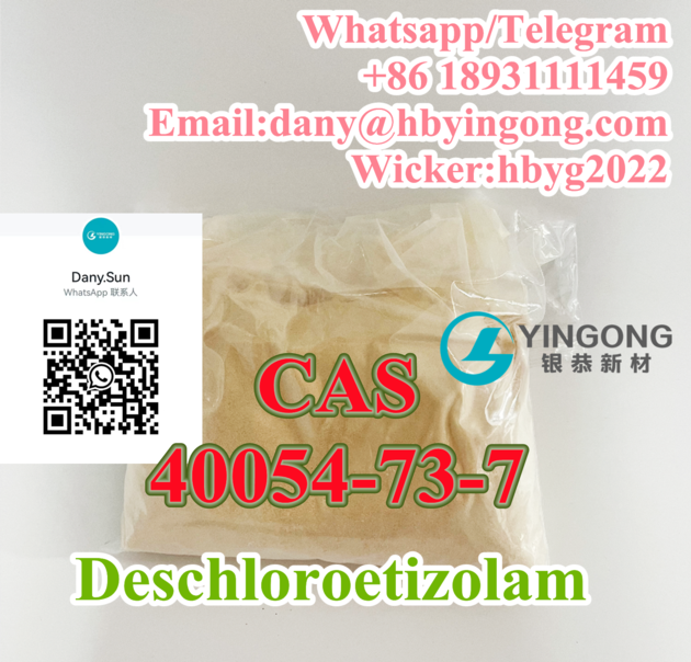Deschloroetizolam CAS 40054 73 7