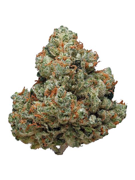  BUY WEED ONLINE Chemdawg Weed Strain