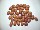 BROWN BEANS
