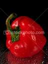 FRESH PEPPER