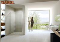 Frameless Shower Screen