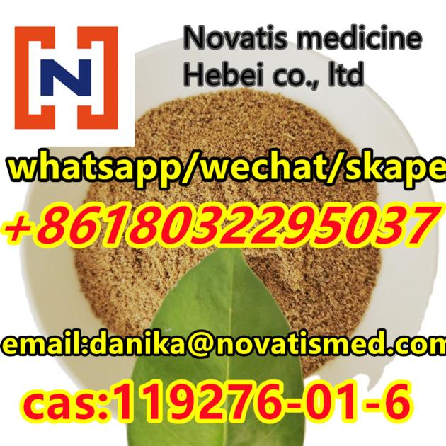 NEW BMK Cas119276 01 6 Powder