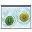 Manual Projection Screen