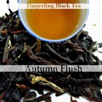 Darjeeling Autumn Flush Tea