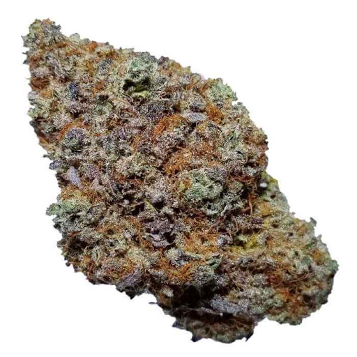  BUY WEED ONLINE Blackberry Kush