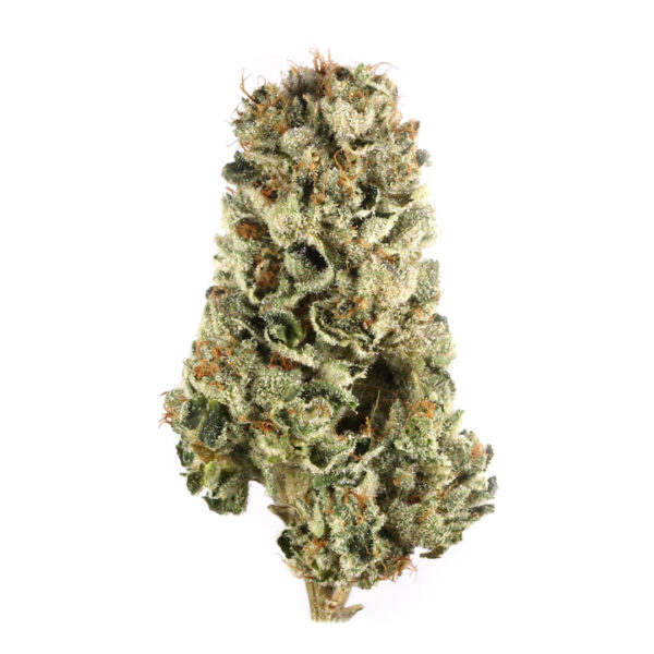  BUY WEED ONLINE Cherry Pie Kush