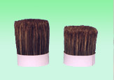 BRISTLE