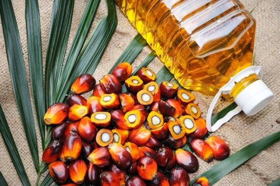 Edible Cooking Oil