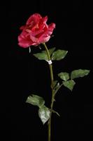 pu artificial flower
