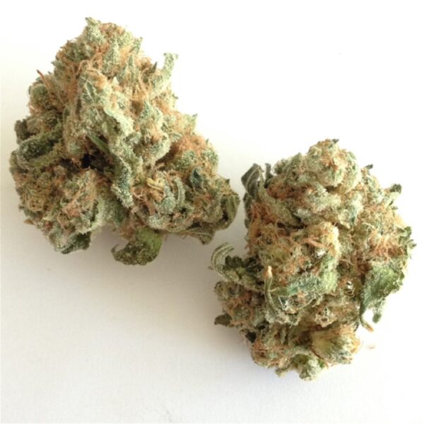  BUY WEED ONLINE Buy White widow