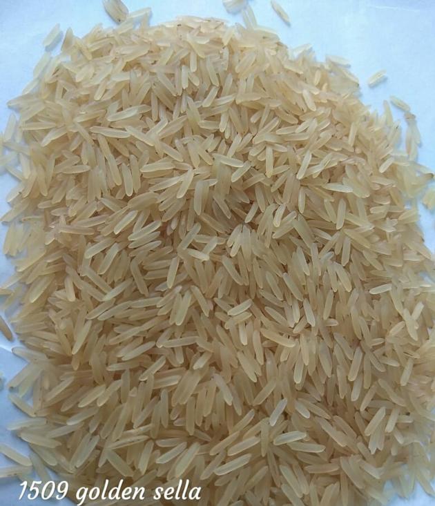 Basmati Rice